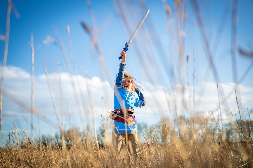 J&rsquo;ai rencontré Link&nbsp;!